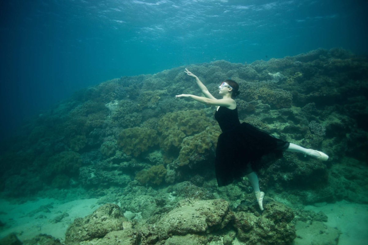 自己紹介の写真